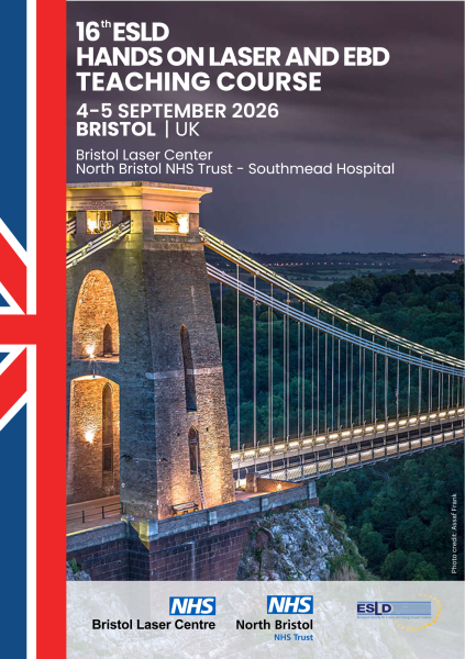 Friday Afternoon Sessions – ESLD Teaching Course Bristol